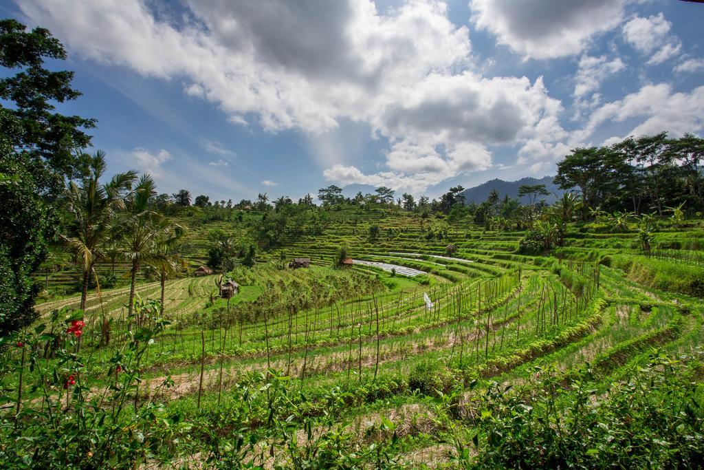 Subak Tabola Villa Sidemen  Exterior photo
